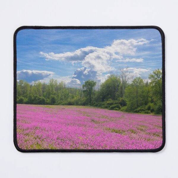 Item preview, Central New York in Springtime designed and sold by MilkingChickens.