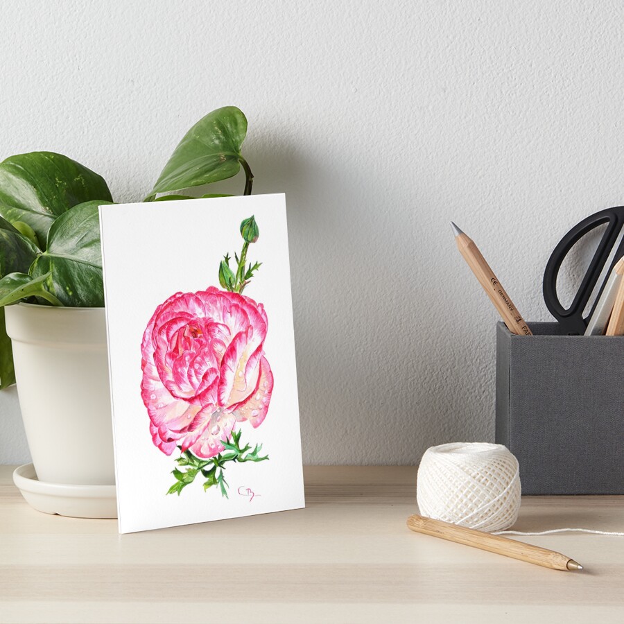 Impression rigide « Aquarelle de renoncule»
