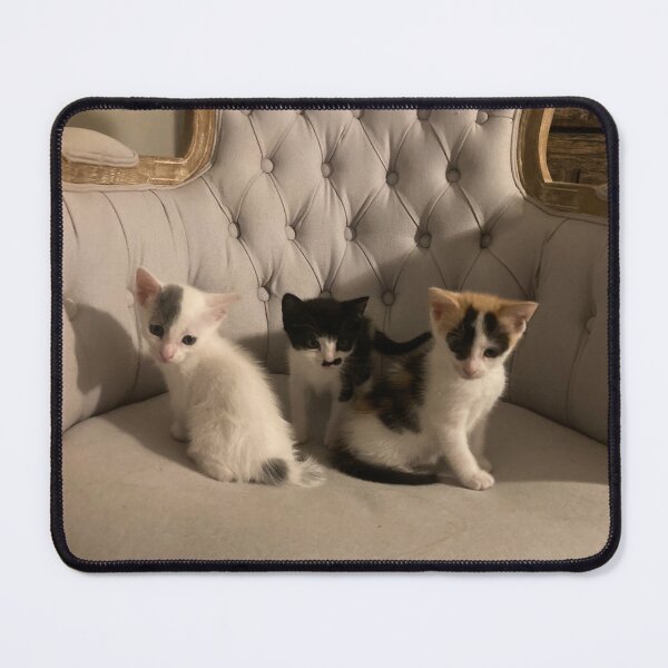 Item preview, Three Mooseketeers  designed and sold by Rae-O-Sunshine-.