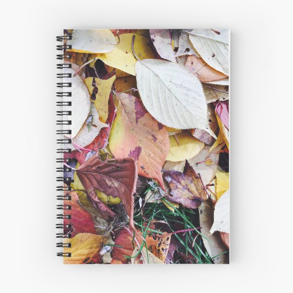 Artikelvorschau, Geschenke des Herbstes entworfen und verkauft von RiBBit15.