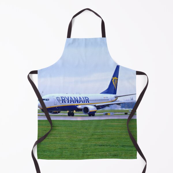 Item preview, Ryanair Boeing 737-8AS EI-EKG MAN to GDN designed and sold by Skyframe Aviation.