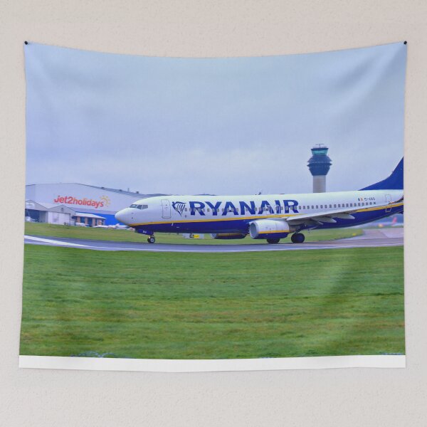 Item preview, Ryanair Boeing 737-8AS EI-EKG MAN to GDN designed and sold by Skyframe Aviation.