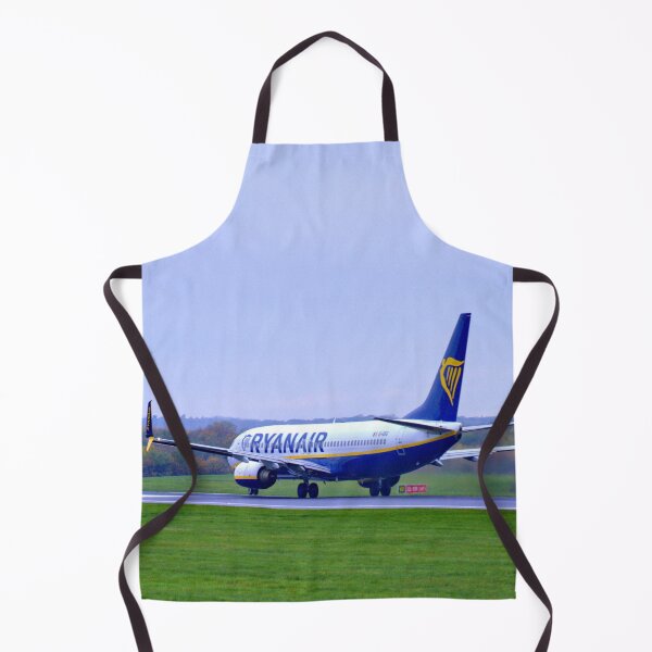 Item preview, Ryanair Boeing 737-8AS EI-EKG MAN to GDN designed and sold by Skyframe Aviation.