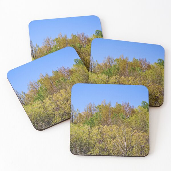 Item preview, Vibrant Spring Forest Under Blue Sky designed and sold by Phakade's Photos.