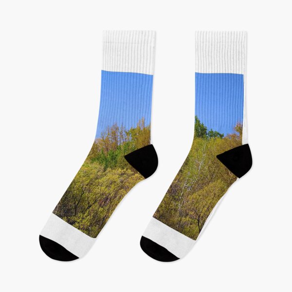 Item preview, Vibrant Spring Forest Under Blue Sky designed and sold by Phakade's Photos.