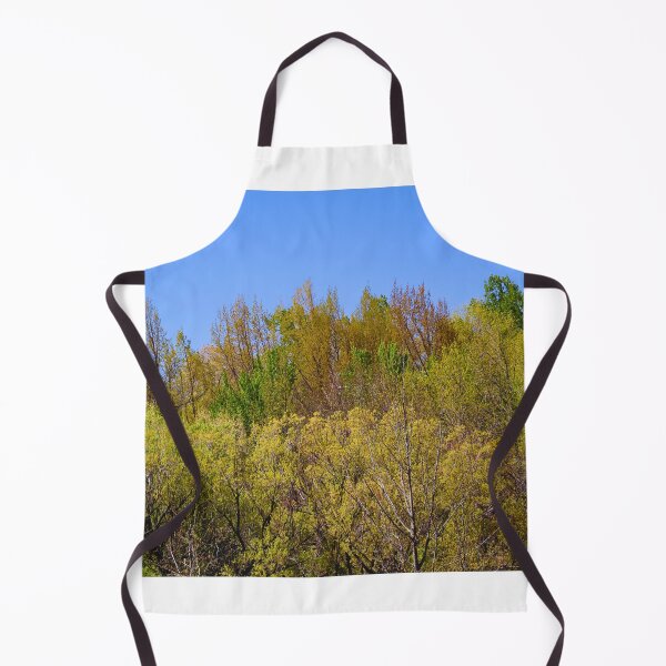 Item preview, Vibrant Spring Forest Under Blue Sky designed and sold by Phakade's Photos.
