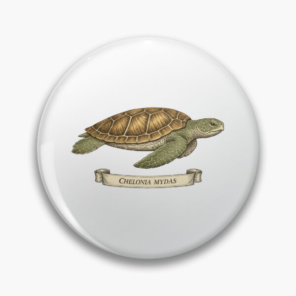 Item preview, Chelonia Mydas Vintage Natural History Sea Turtle Scientific Plate designed and sold by zoughlal.