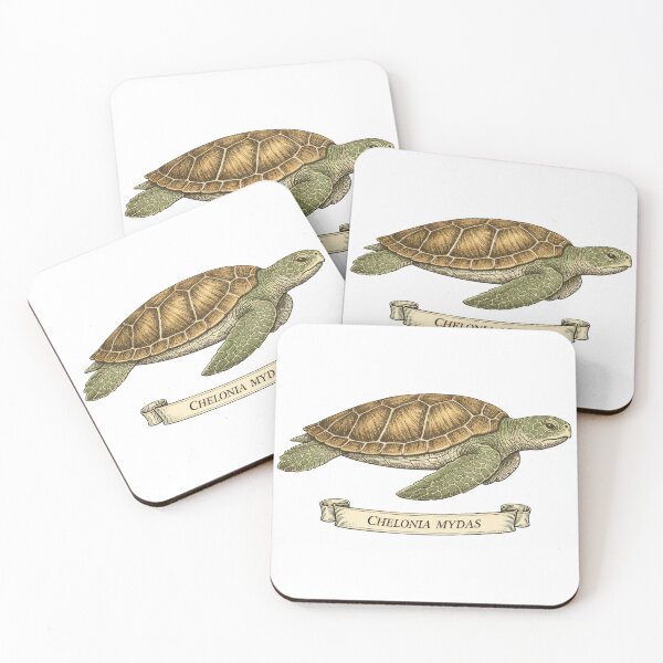 Item preview, Chelonia Mydas Vintage Natural History Sea Turtle Scientific Plate designed and sold by zoughlal.