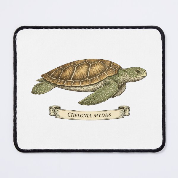 Item preview, Chelonia Mydas Vintage Natural History Sea Turtle Scientific Plate designed and sold by zoughlal.
