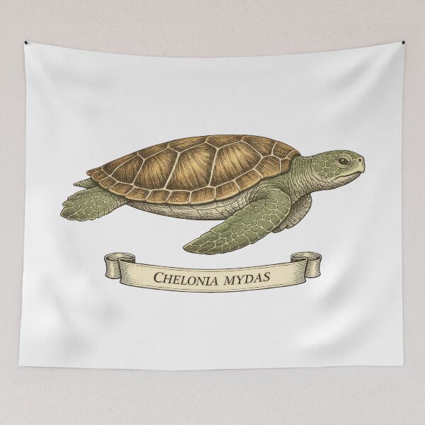 Item preview, Chelonia Mydas Vintage Natural History Sea Turtle Scientific Plate designed and sold by zoughlal.