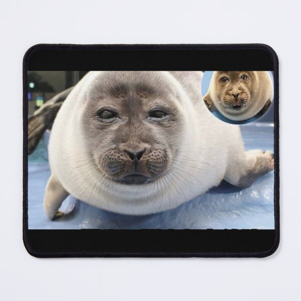 Item preview, Niko the seal from Toba Aquarium designed and sold by RoxStuffShop.