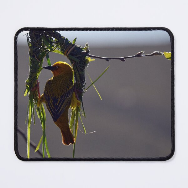 Item preview, New Home. Are you building or renovating? Weaver bird working on his nest - Barrydale, South Africa designed and sold by Pete Klimek.