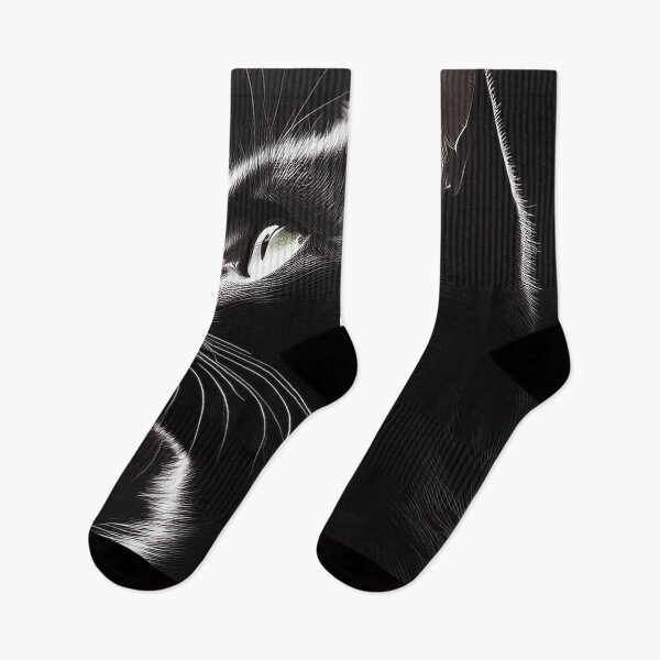 Item preview, Beautiful black cat backlit at a black background designed and sold by Photopat.