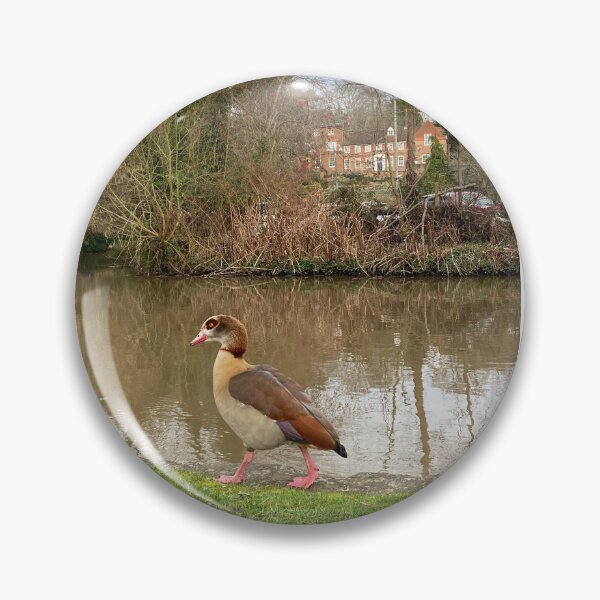 Item preview, Mandarin Duck Riverside Walk | Surrey England Wildlife Scene | UK Countryside Nature Illustration designed and sold by ThatSurreyLife.
