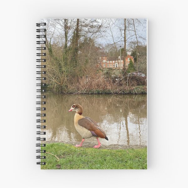 Item preview, Mandarin Duck Riverside Walk | Surrey England Wildlife Scene | UK Countryside Nature Illustration designed and sold by ThatSurreyLife.