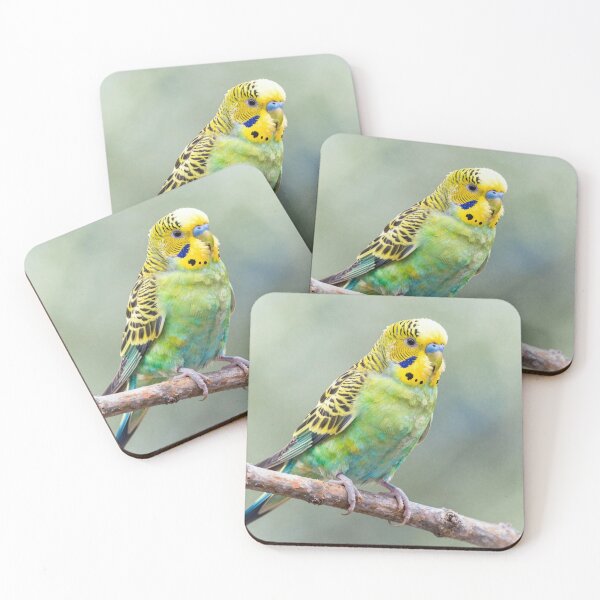 Item preview, Budgerigar designed and sold by LilithsDesires.