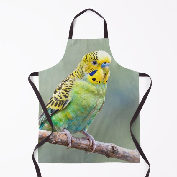 Item preview, Budgerigar designed and sold by LilithsDesires.
