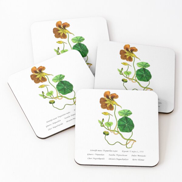 Item preview, Climbing Nasturtium designed and sold by Flores1965.