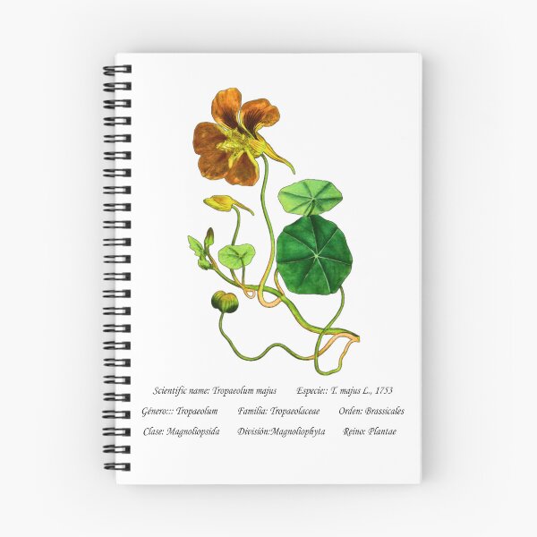 Item preview, Climbing Nasturtium designed and sold by Flores1965.