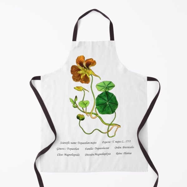 Item preview, Climbing Nasturtium designed and sold by Flores1965.