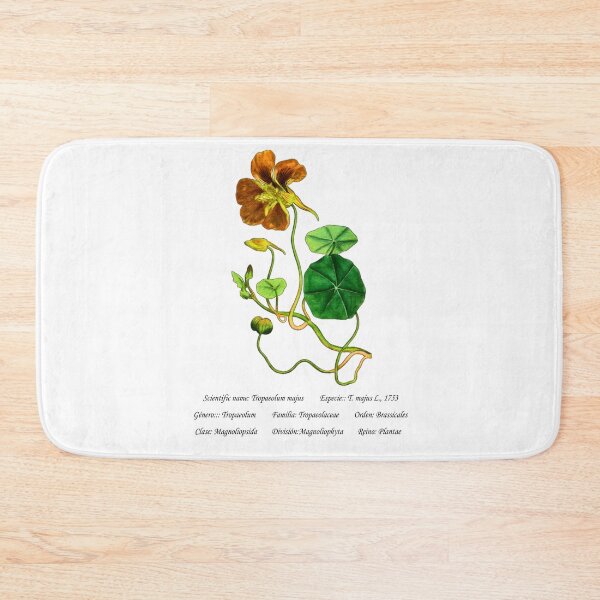 Item preview, Climbing Nasturtium designed and sold by Flores1965.