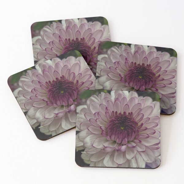 Item preview, Magia floral designed and sold by Betsy Phillips.