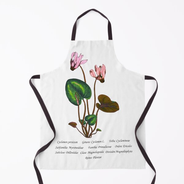 Item preview, Cyclamen Persicum designed and sold by Flores1965.