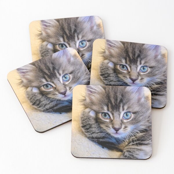 Item preview, Maine coon kitten designed and sold by Fluffycat2020.