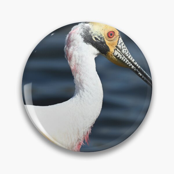 Item preview, Spoony designed and sold by Glennphotos.