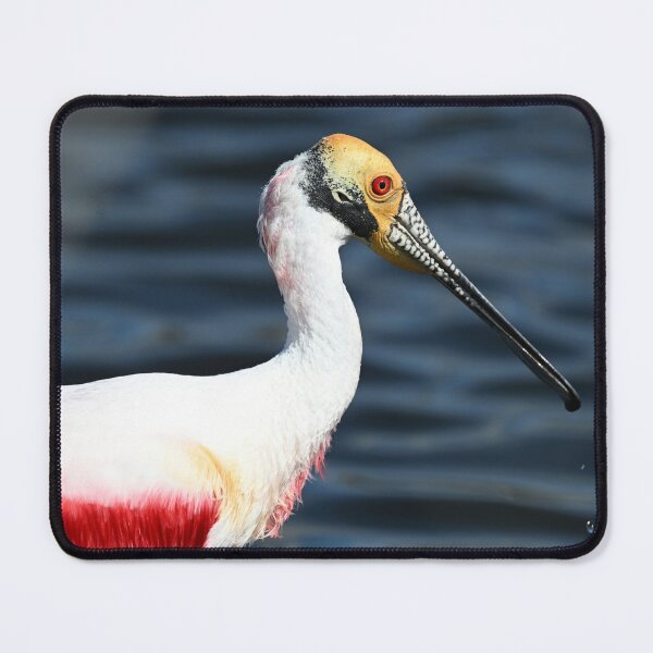 Item preview, Spoony designed and sold by Glennphotos.