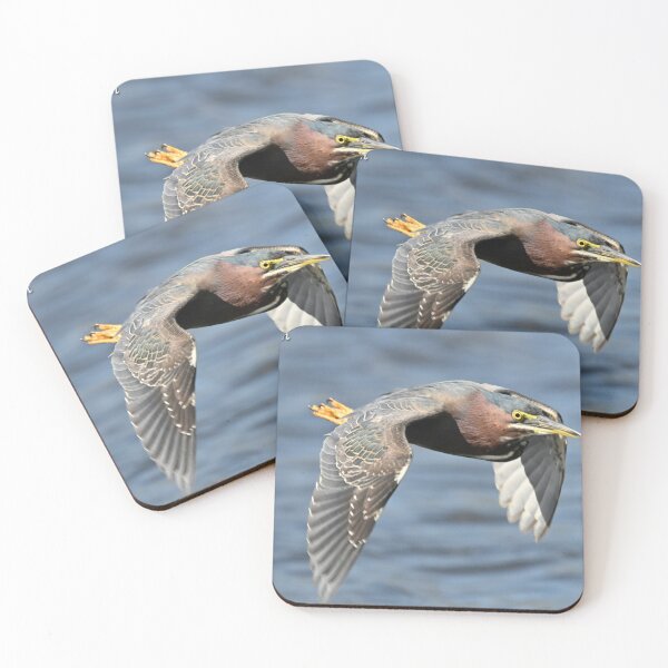 Item preview, Green Heron  designed and sold by Glennphotos.