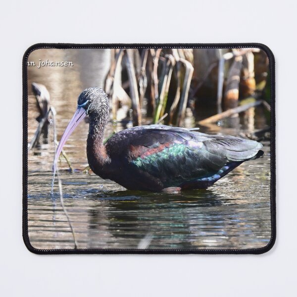 Item preview, Glossy  designed and sold by Glennphotos.