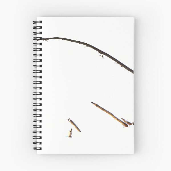 Item preview, Lines of winter. Kulovesi Siuro 2026 designed and sold by Jouko Lehto Photography.