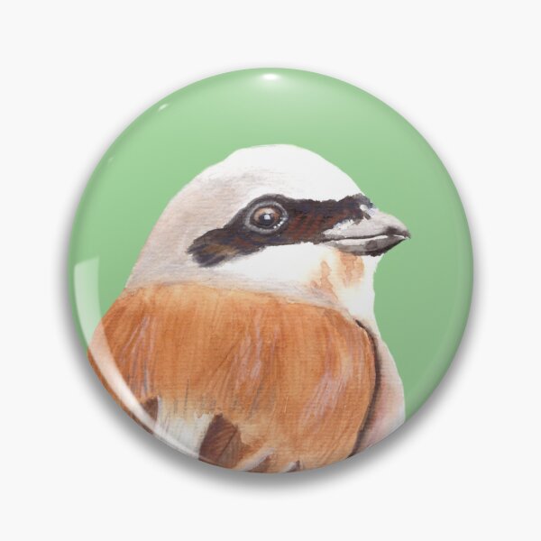 Item preview, Red Backed Shrike designed and sold by art-elodie-g.
