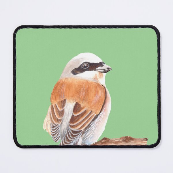 Item preview, Red Backed Shrike designed and sold by art-elodie-g.