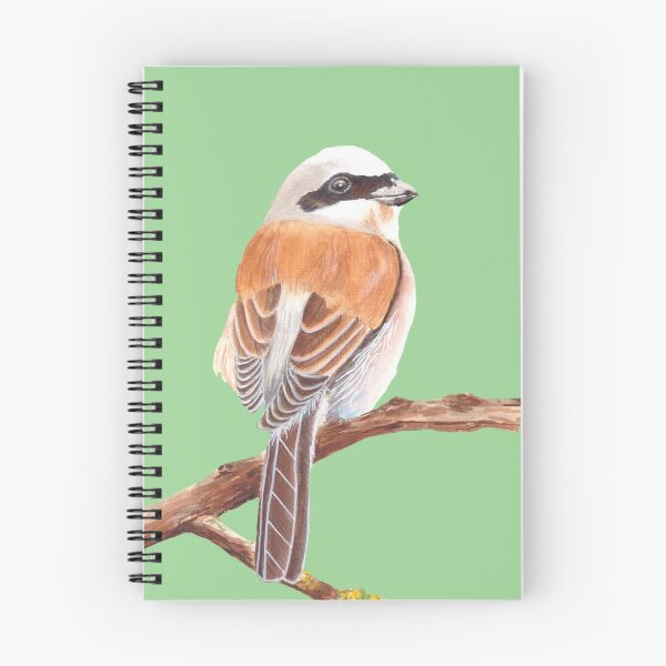 Item preview, Red Backed Shrike designed and sold by art-elodie-g.