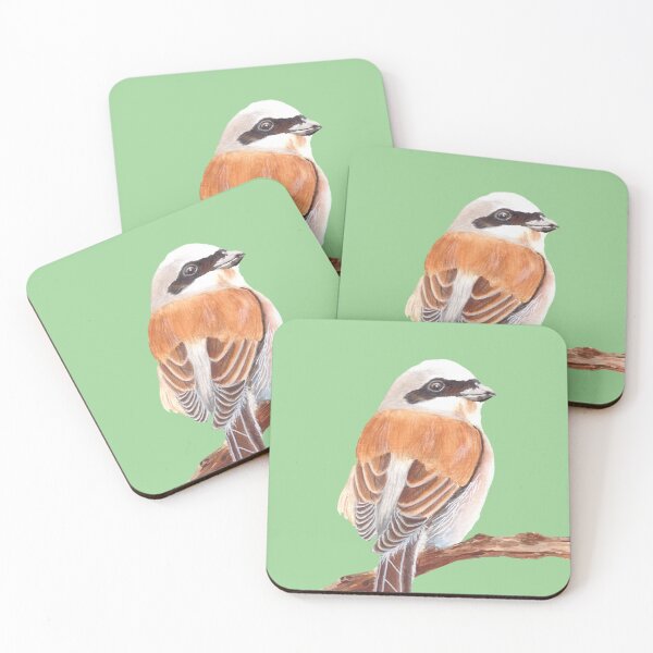 Item preview, Red Backed Shrike designed and sold by art-elodie-g.