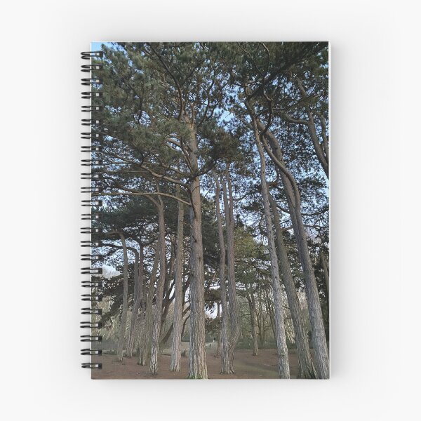 Item preview, Tall Trees & Forest | Wimbledon & Putney Commons London | UK Nature Outdoors Aesthetic designed and sold by ThatSurreyLife.