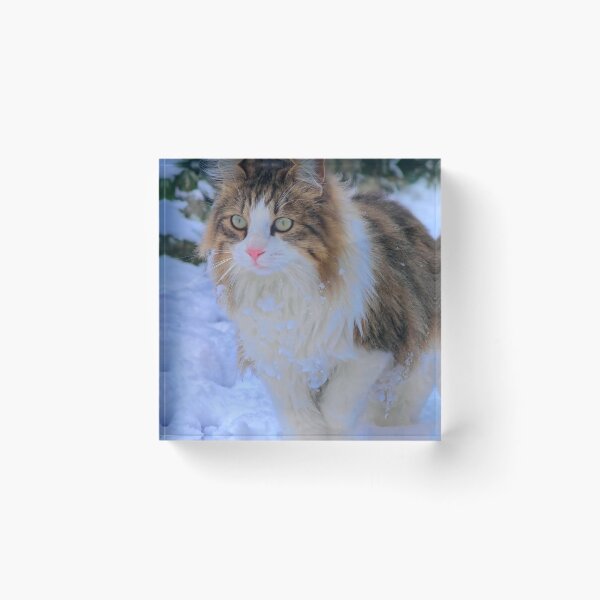 Item preview, Fluffy Cat in the Snow designed and sold by MB-CatPrints.