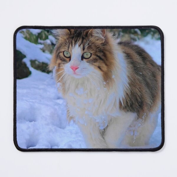 Item preview, Fluffy Cat in the Snow designed and sold by MB-CatPrints.