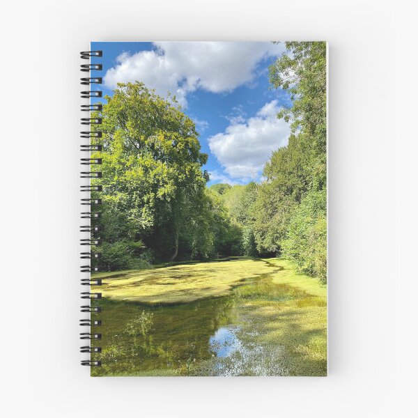 Item preview, Silent Pool, Albury | Surrey Hills England Summer Nature Scene | UK Countryside Aesthetic designed and sold by ThatSurreyLife.