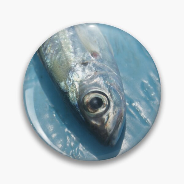Item preview, Fish photography print designed and sold by Zummi.