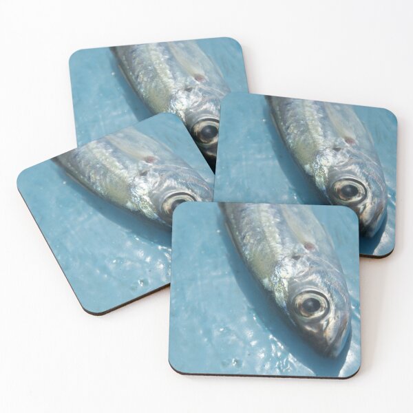 Item preview, Fish photography print designed and sold by Zummi.