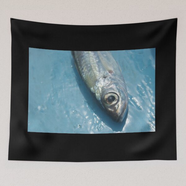 Item preview, Fish photography print designed and sold by Zummi.