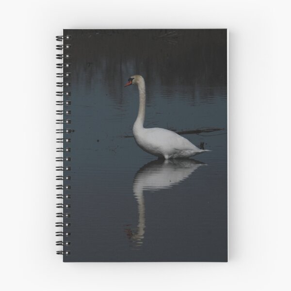 Item preview, Nature photography of a swan designed and sold by Zummi.