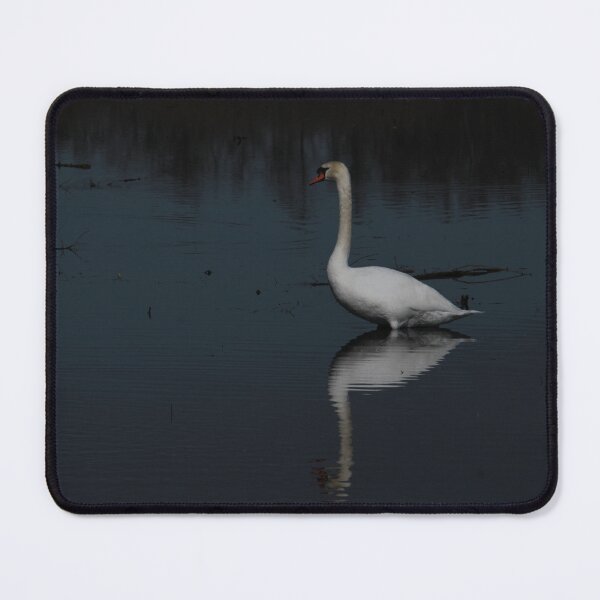 Item preview, Nature photography of a swan designed and sold by Zummi.