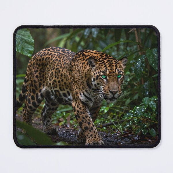 Item preview, Sneaking Jaguar designed and sold by LilithsDesires.