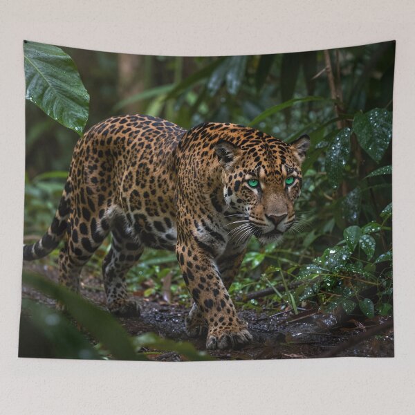 Item preview, Sneaking Jaguar designed and sold by LilithsDesires.