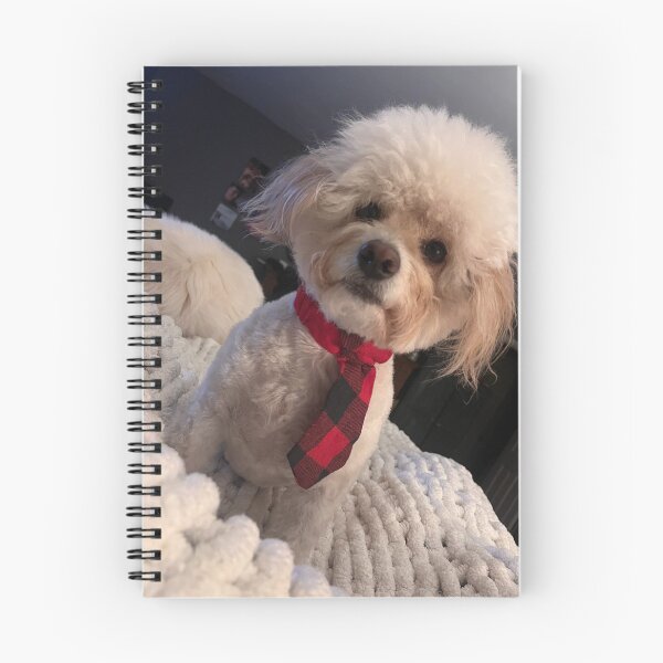 Item preview, Luigi the Poodle designed and sold by AceJimmy.