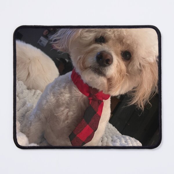 Item preview, Luigi the Poodle designed and sold by AceJimmy.